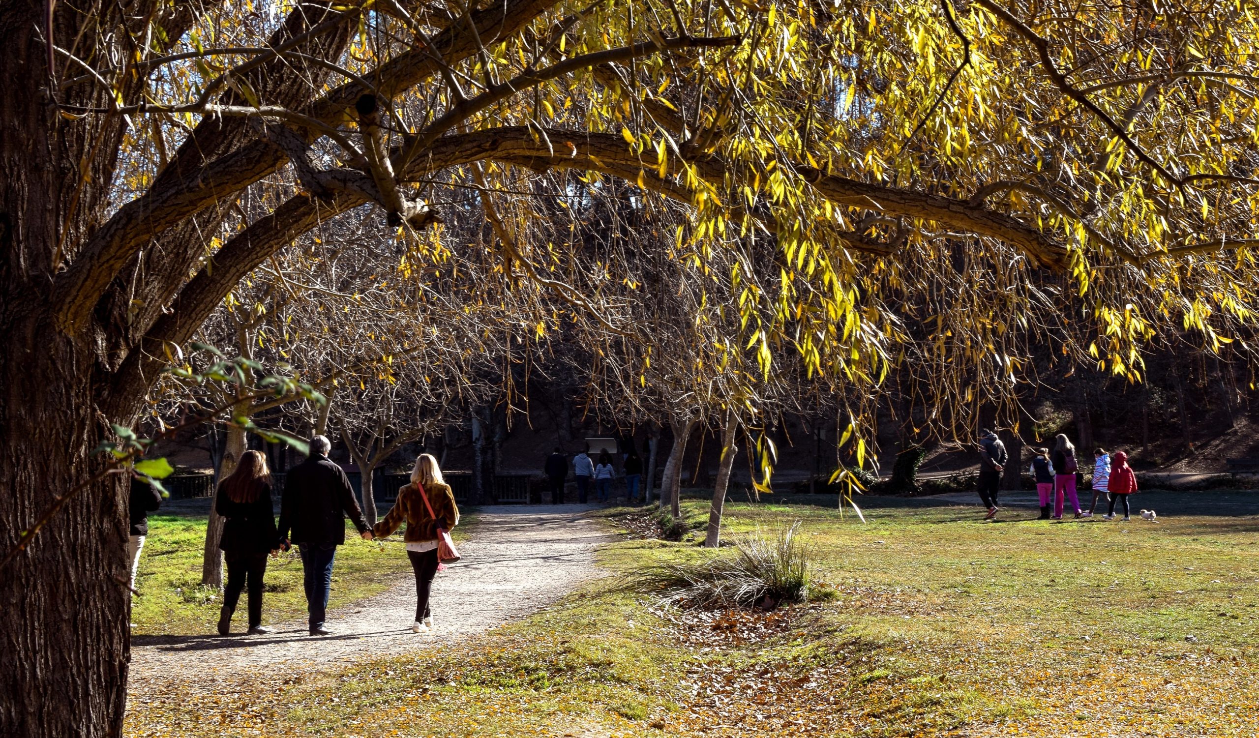 Greener Parks are a Quality of Life Benefit