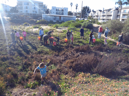 Children and adults with orange buckets cleaning up a wetland with urban setting, tall buildings, in the background. Picture taken by Andrew Meyer with ReWild Mission Bay